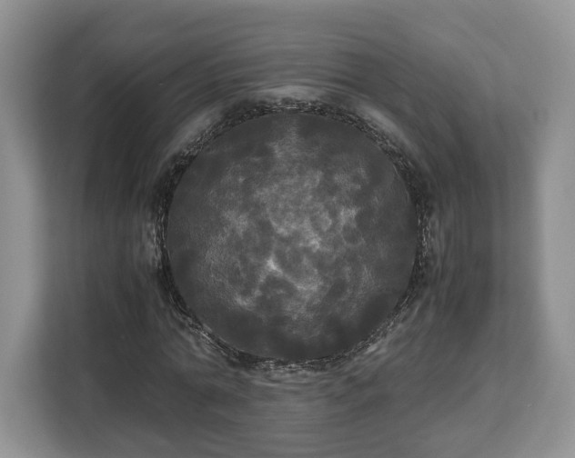 X0000112830774200908281531