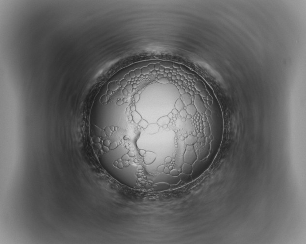 X0000112830776200908281531