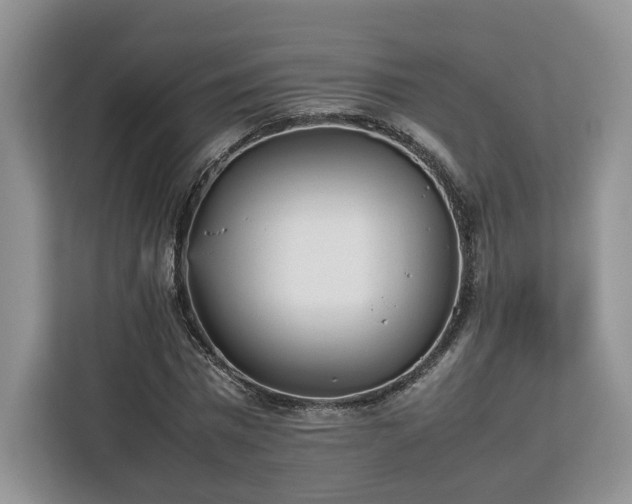 X0000112830777200908281531