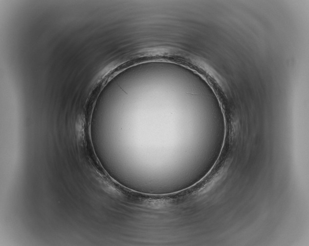 X0000112830778200908281531