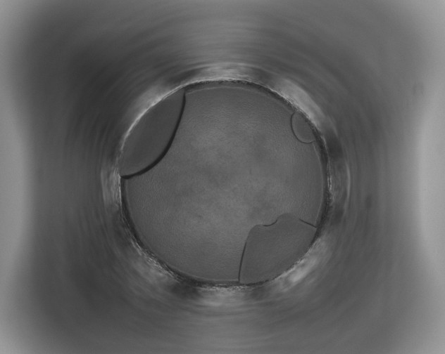 X0000112830781200908281531