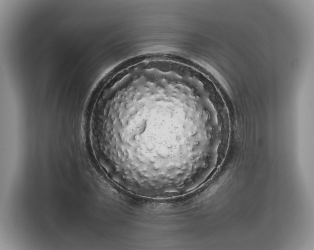 X0000112830783200908281531