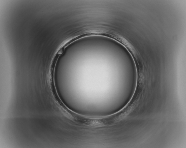 X0000112830787200908281531