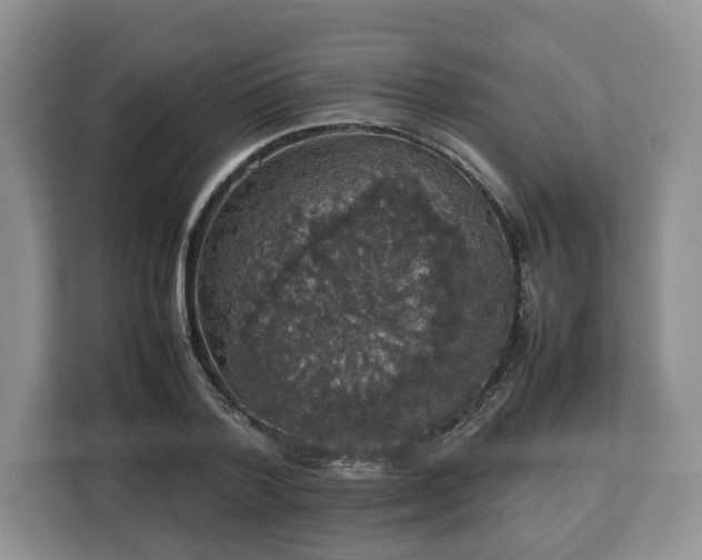 X0000112830788200908281531