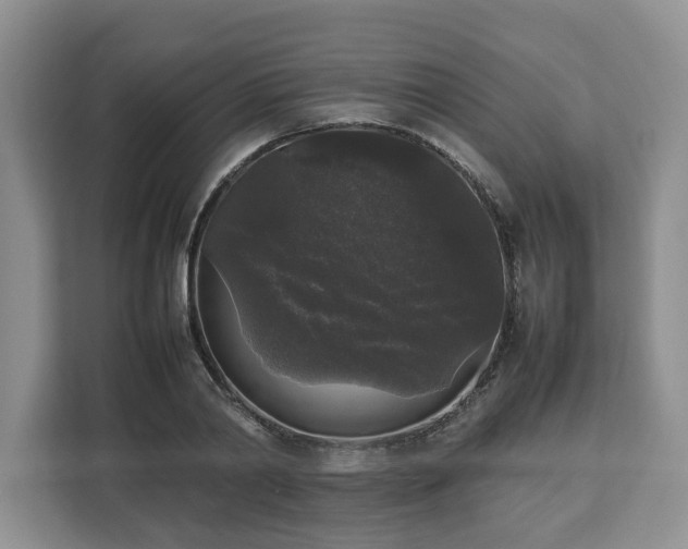 X0000112830790200908281531