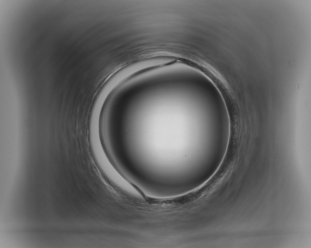 X0000112830793200908281530