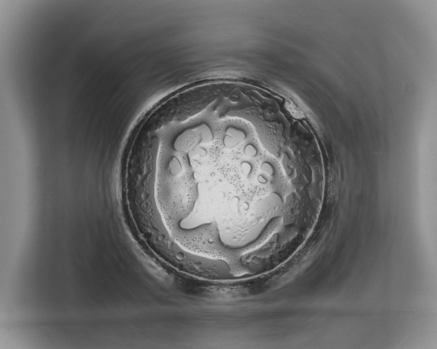 X0000112830795200908281530