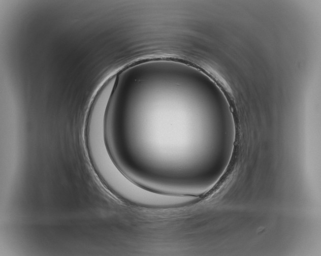 X0000112830797200908281530