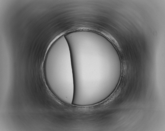 X0000112830798200908281530