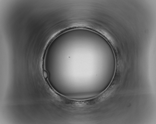 X0000112830799200908281530