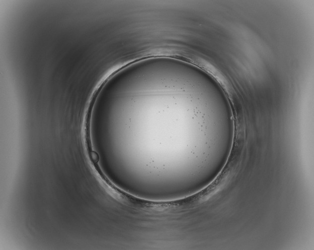 X0000112830803200908281530