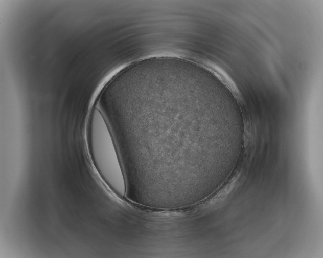 X0000112830804200908281530