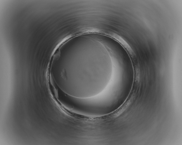 X0000112830806200908281530