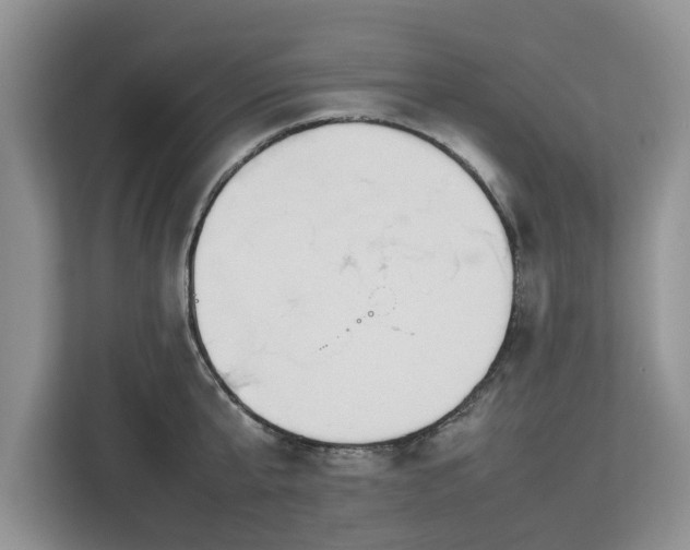 X0000112830807200908281530