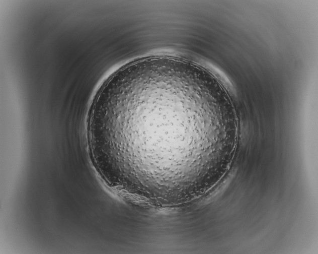 X0000112830808200908281530