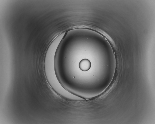 X0000112830809200908281530