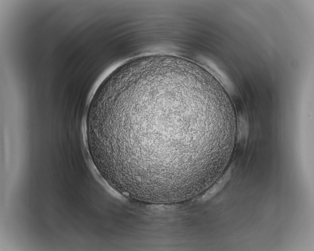 X0000112830812200908281530