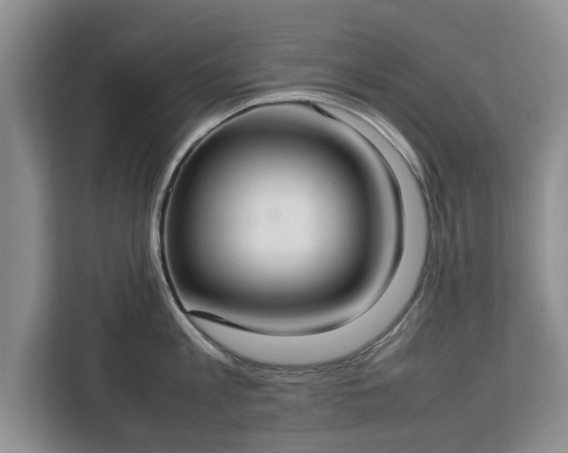 X0000112830813200908281530