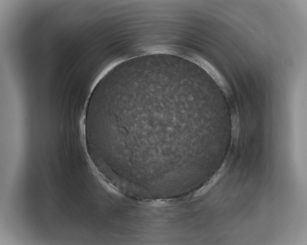 X0000112830814200908281530