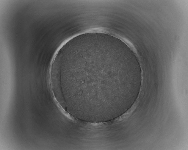 X0000112830816200908281530