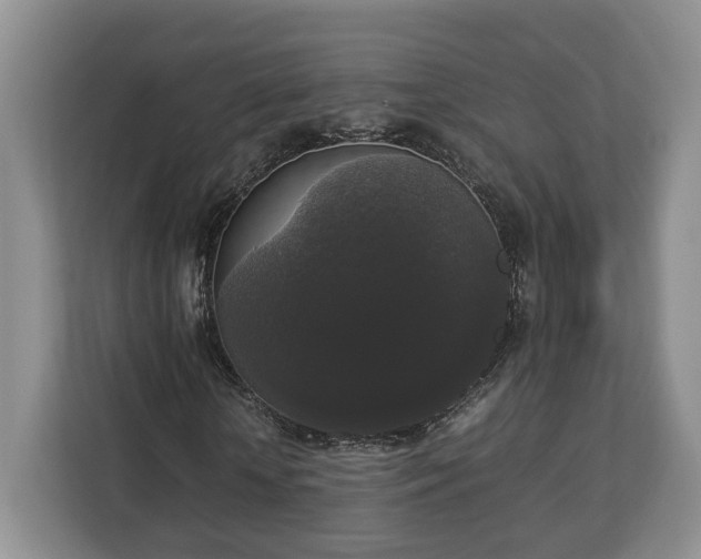 X0000112830818200908281530