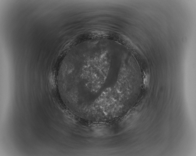 X0000112830819200908281530