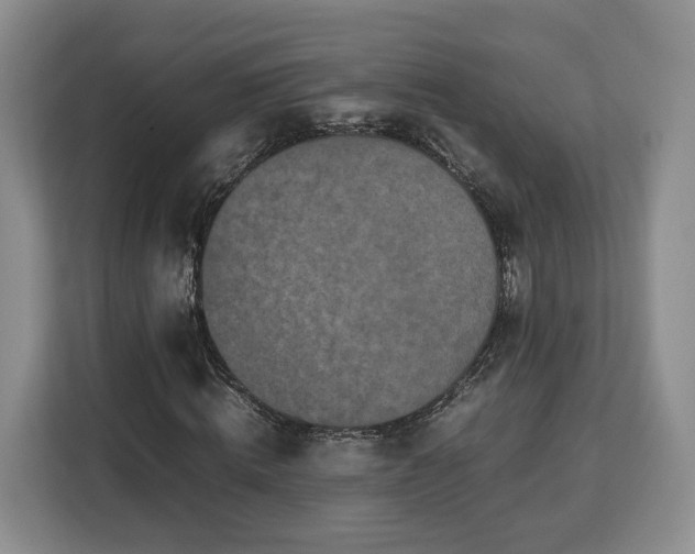 X0000112830820200908281530