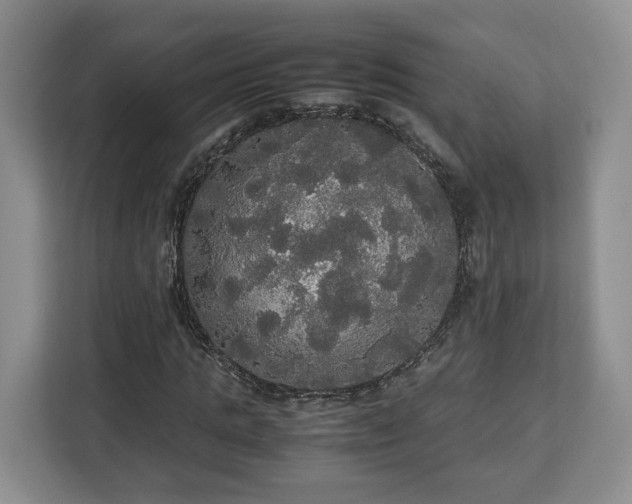 X0000112830821200908281530