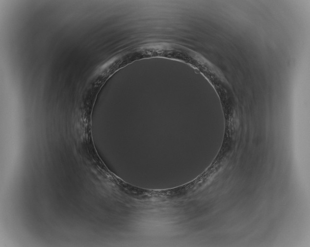 X0000112830822200908281530