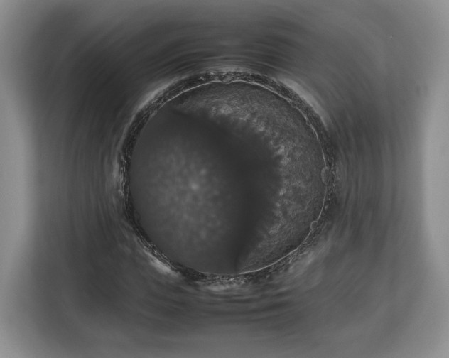 X0000112830823200908281530