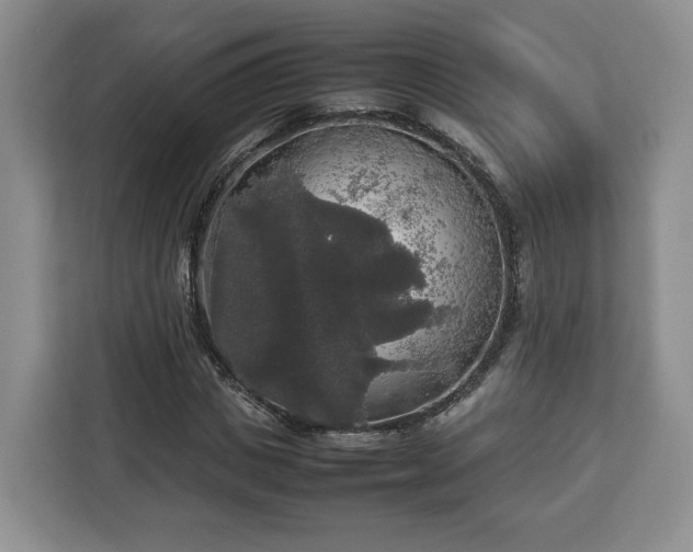 X0000112830825200908281530