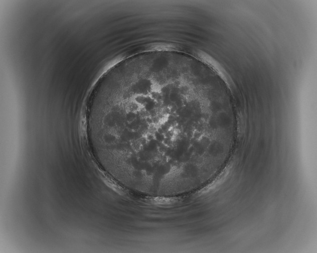 X0000112830827200908281530