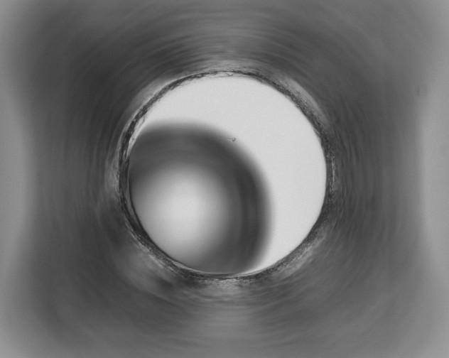 X0000112830828200908281530