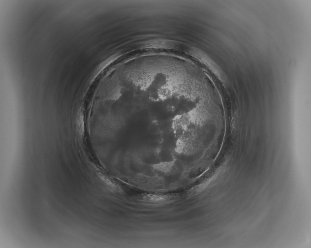 X0000112830829200908281530