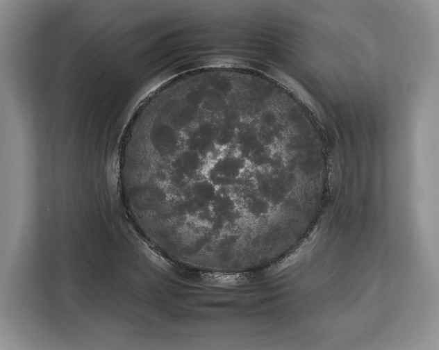 X0000112830831200908281530