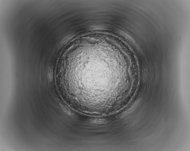 X0000112830833200908281530