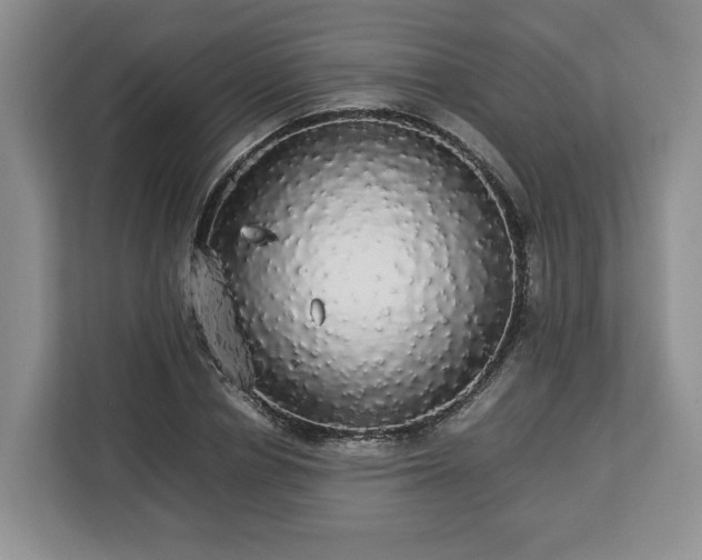 X0000112830834200908281530