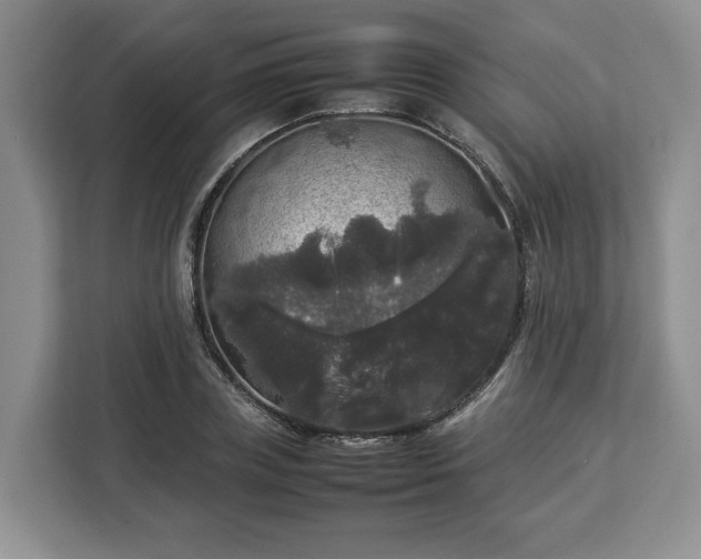 X0000112830835200908281530