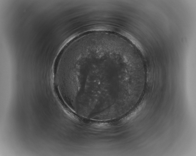 X0000112830837200908281530