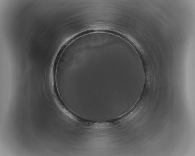 X0000112830840200908281530