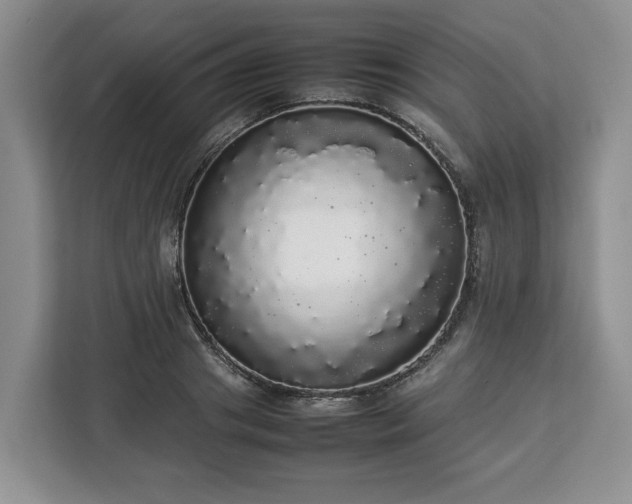 X0000112830841200908281530