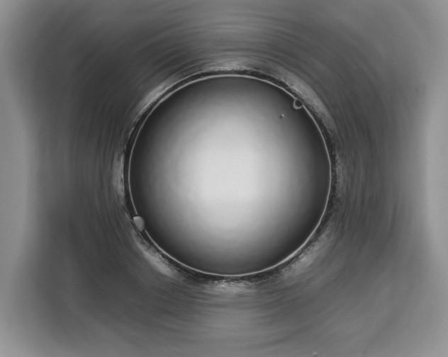 X0000112830842200908281530