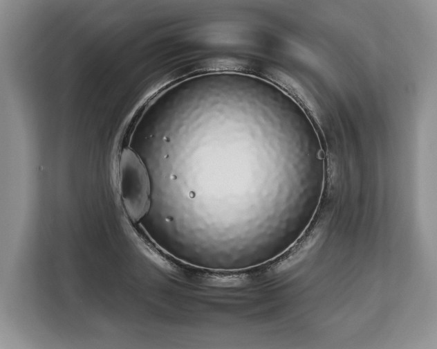 X0000112830843200908281530