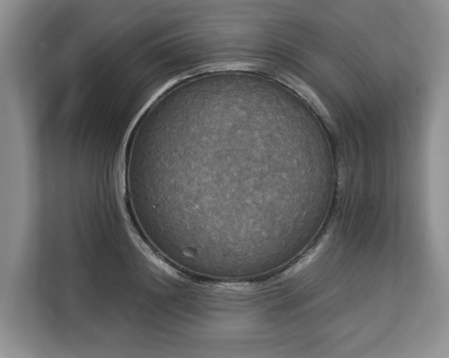 X0000112830844200908281530