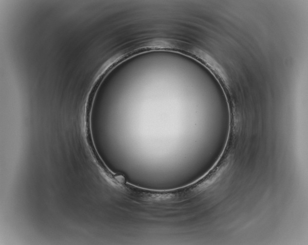 X0000112830845200908281530