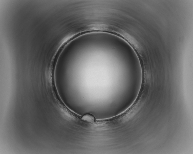 X0000112830846200908281530