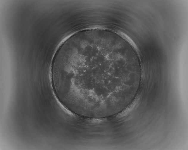 X0000112830847200908281530