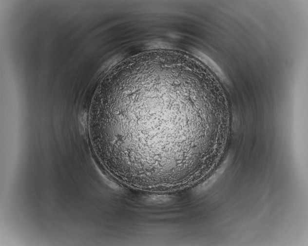 X0000112830849200908281530