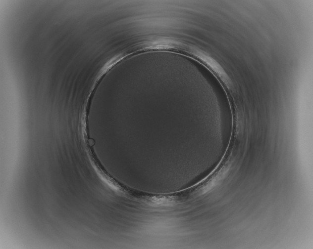 X0000112830850200908281530