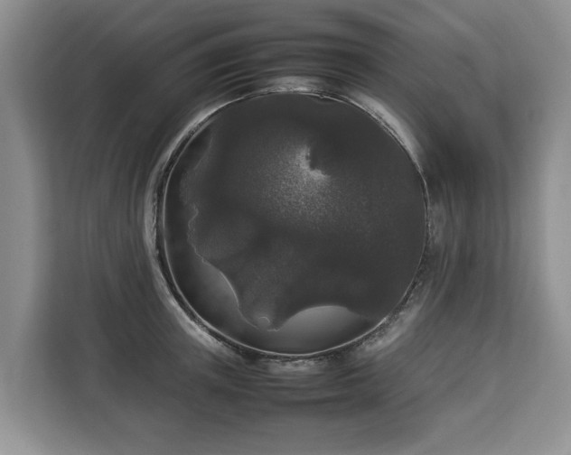 X0000112830851200908281530